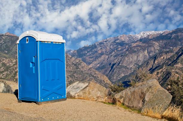 Best Standard Portable Toilet Rental  in Milliken, CO